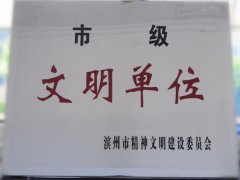 喜訊！公司榮獲“市級(jí)文明單位”稱號(hào)