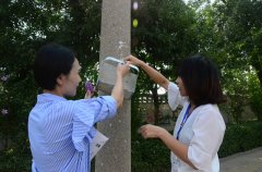 創(chuàng)建全國文明城市 華紡人在行動